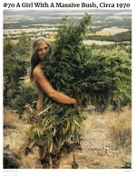 A girl with a massive bush - small.jpg