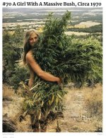 A girl with a massive bush - small.jpg