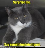 Surprise me.jpg