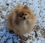 CB in snow rs.jpg