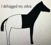 Defragged zebra.png