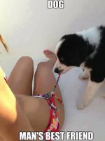 Dog mans best friend.jpg