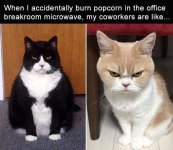 Burnt popcorn.jpg
