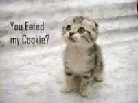 you eated my cookie.jpg
