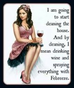 Cleaning the house.jpg