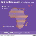 Malaria.jpg