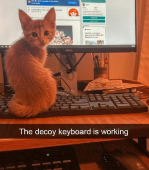 decoy keyboard.png