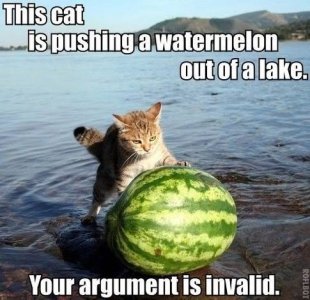 Cat pushing watermelon.jpg