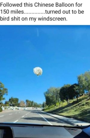 Birdshit on windscreen.jpg