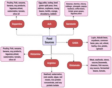 molecules-28-00210-g005.jpg