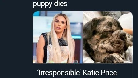 KP.jpg