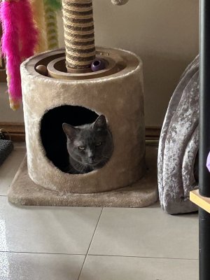 IMG_0461.jpeg