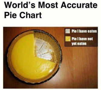 piechart.jpg