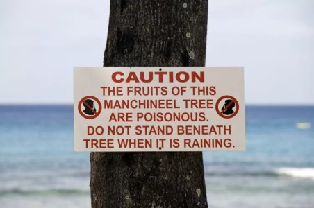 Manchineel tree warning.jpg