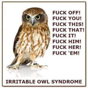Irritable owl syndrome.jpg
