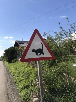 Cat warning triangle.webp