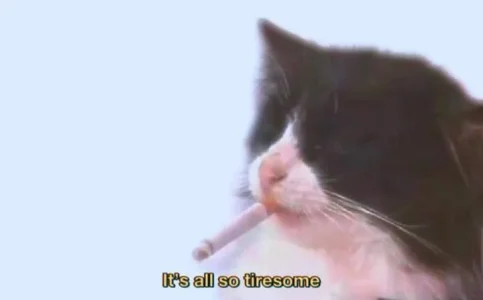 1000023721.webp 1000023721.webp