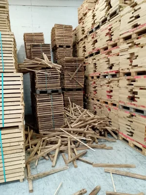 1000024027.webp 1000024027.webp