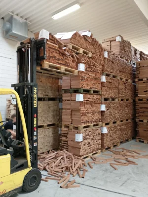 1000024028.webp 1000024028.webp