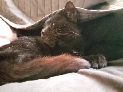 1000024292.webp 1000024292.webp