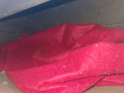 1000024357.webp 1000024357.webp