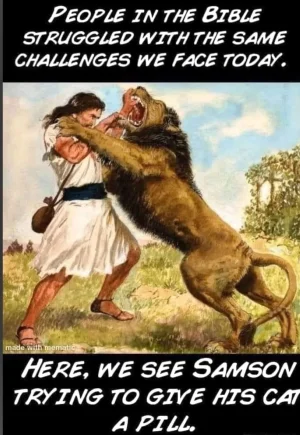 Giving a cat a pill.webp