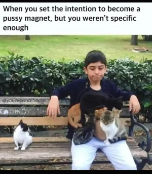 Pussy magnet.webp
