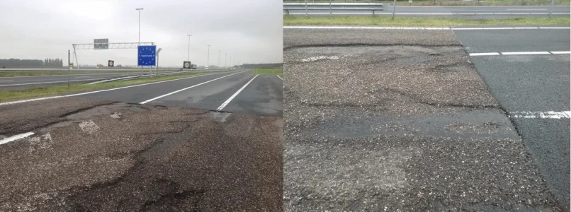 1000025447.webp 1000025447.webp