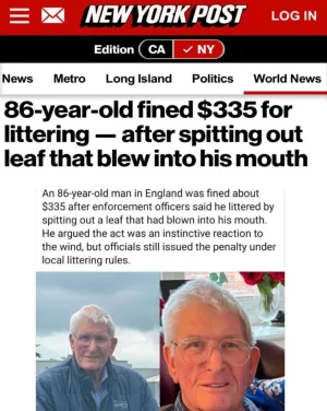 1000025732.webp 1000025732.webp