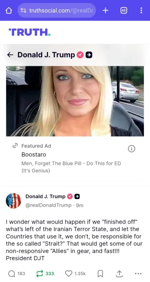 1000026458.webp 1000026458.webp