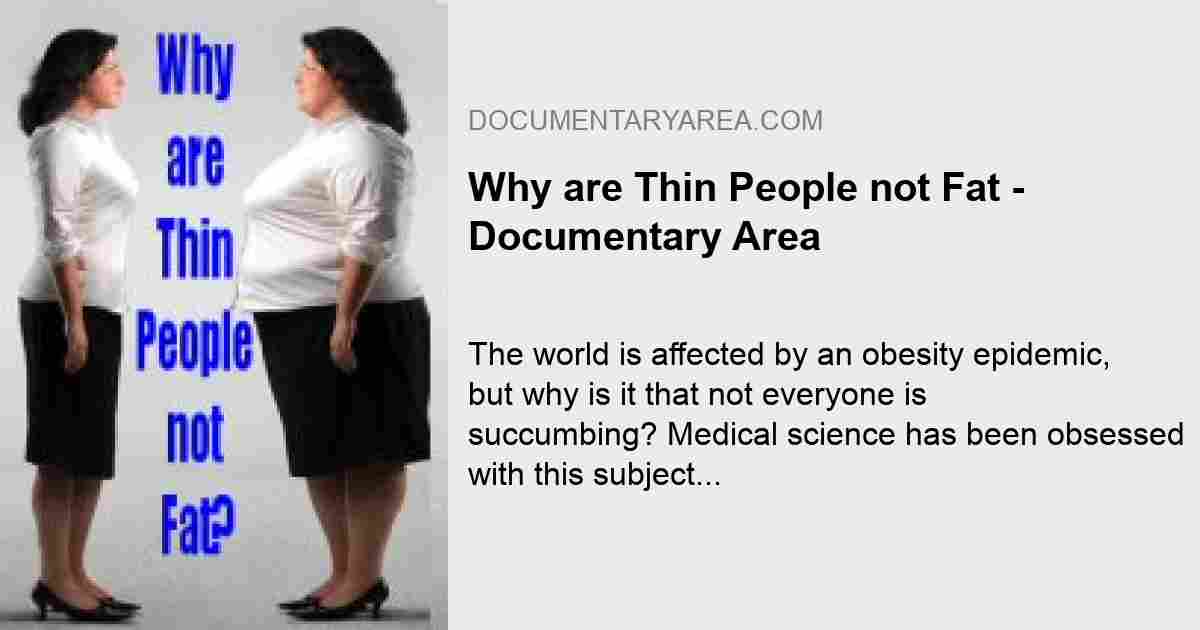 www.documentaryarea.com