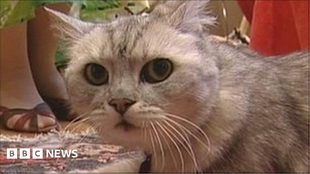 www.bbc.co.uk