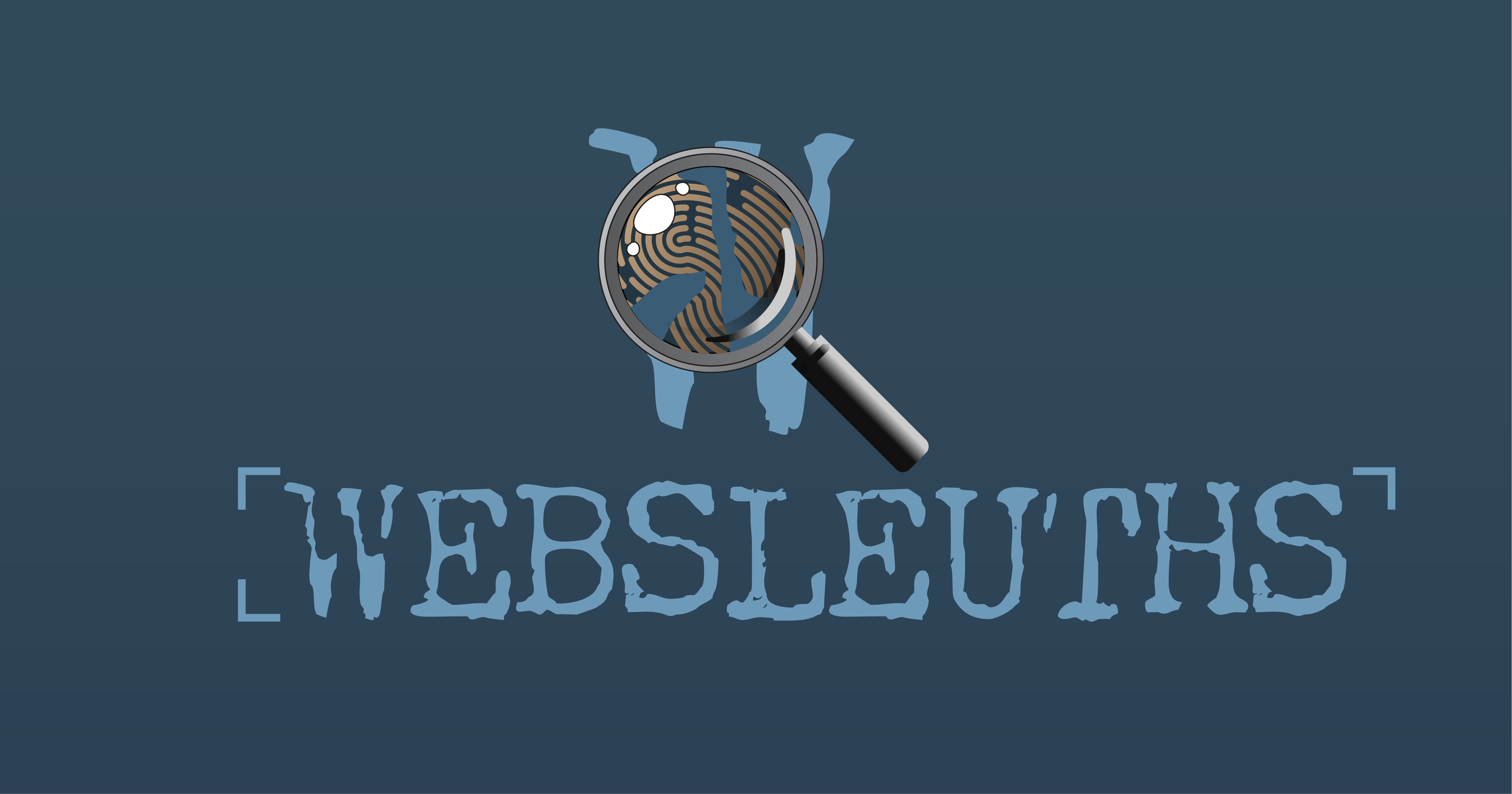 websleuths.com
