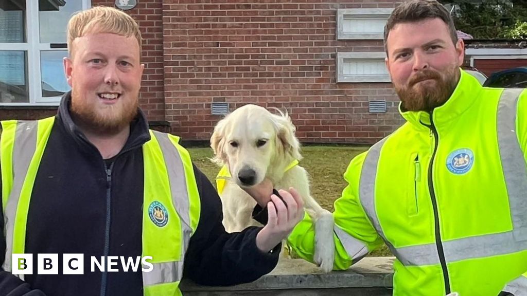 www.bbc.co.uk