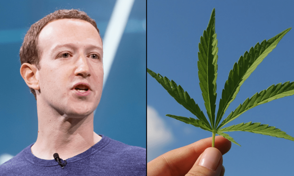 www.marijuanamoment.net