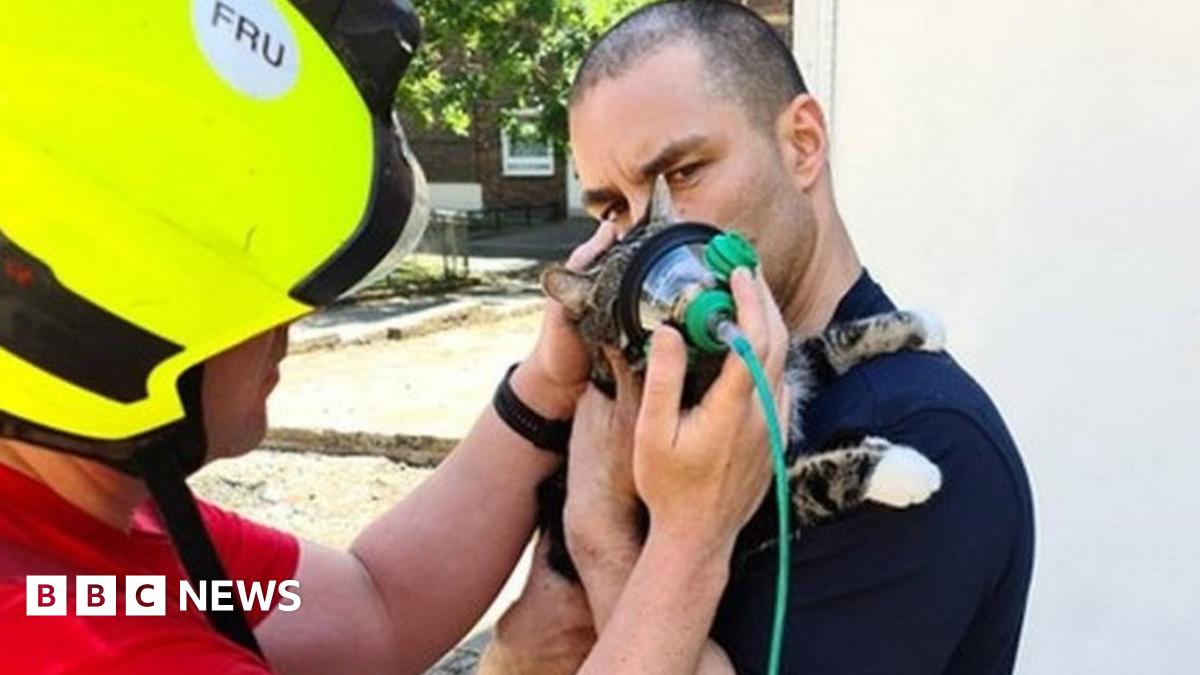 www.bbc.co.uk